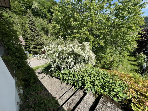 Einfamilienhaus mit Säntisblick 23