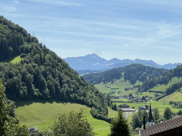 Einfamilienhaus mit Säntisblick 3