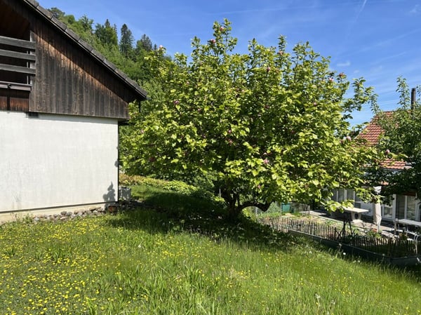 Einfamilienhaus mit Säntisblick 25