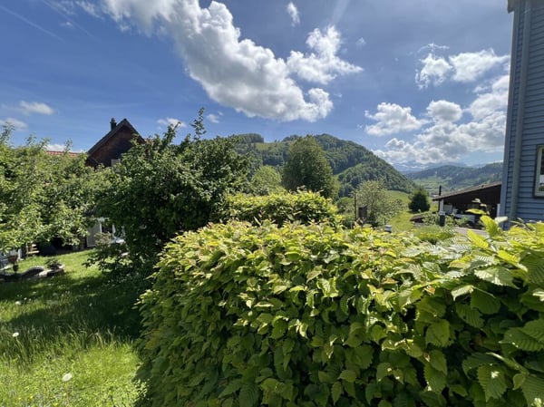Einfamilienhaus mit Säntisblick 11