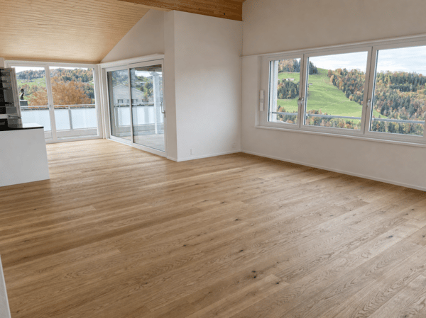 Gesund wohnen mit Weitsicht - 4½-Zimmer-Dachwohnung C4.1 45
