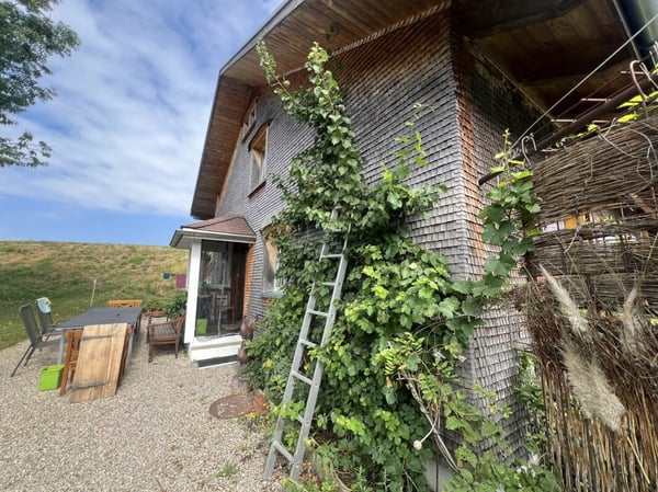 Freiheit braucht Raum - Naturrefugium Rotenfluh 952 15