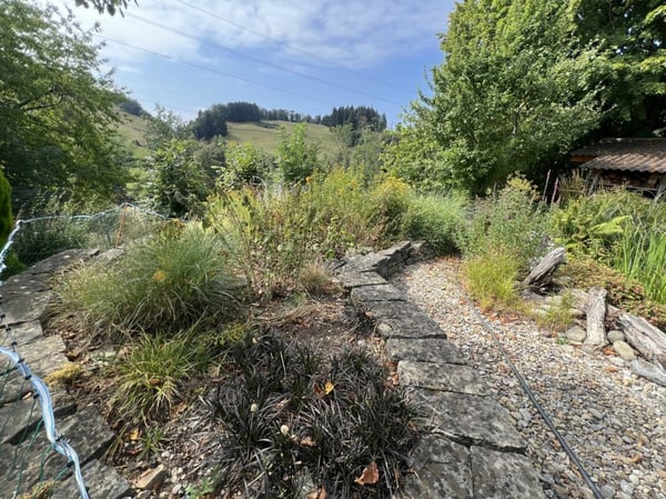 Freiheit braucht Raum - Naturrefugium Rotenfluh 952 8
