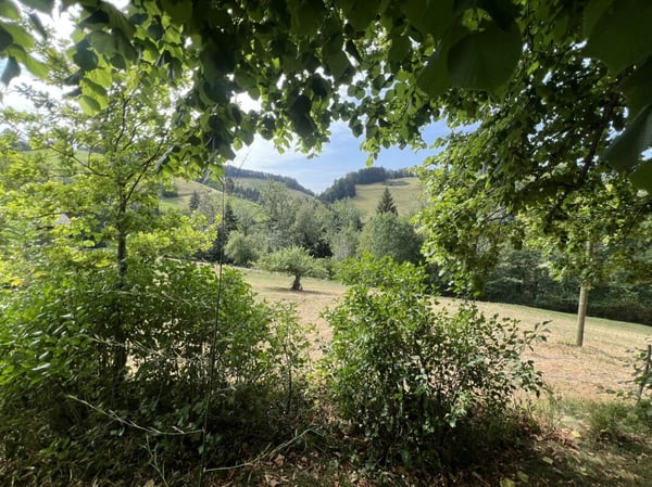 Freiheit braucht Raum - Naturrefugium Rotenfluh 952 4