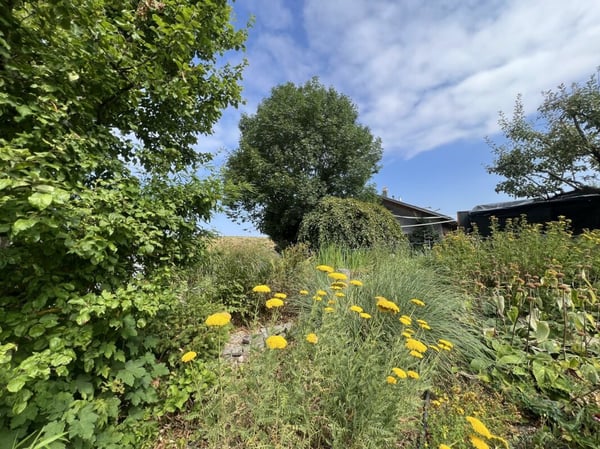Freiheit braucht Raum - Naturrefugium Rotenfluh 952 16