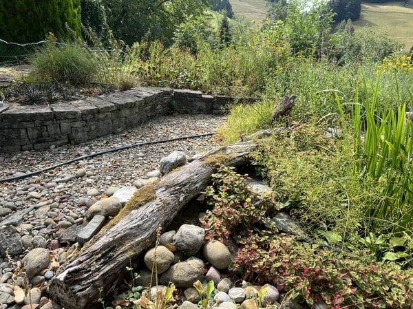 Freiheit braucht Raum - Naturrefugium Rotenfluh 952 9