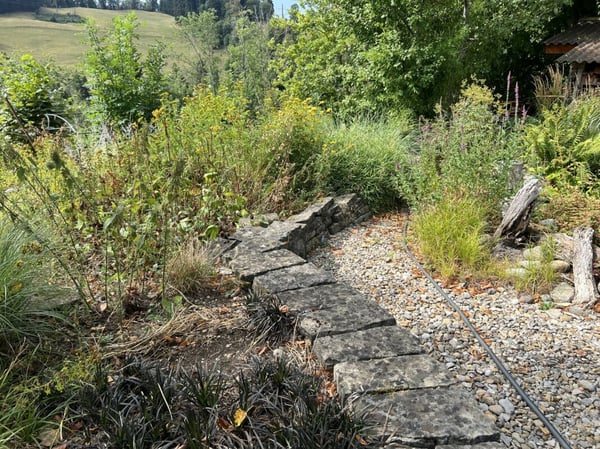 Freiheit braucht Raum - Naturrefugium Rotenfluh 952 10