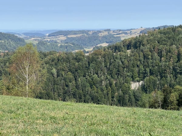 Freiheit braucht Raum - Naturrefugium Rotenfluh 952 3