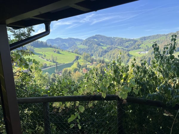 Reserviert! Chalet mit Aussicht - naturnah wohnen in Mogelsberg 7