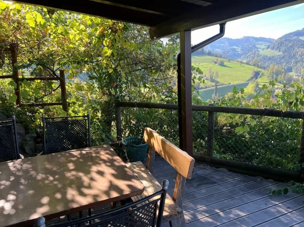 Reserviert! Chalet mit Aussicht - naturnah wohnen in Mogelsberg 15