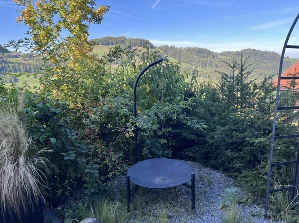 Reserviert! Chalet mit Aussicht - naturnah wohnen in Mogelsberg 3