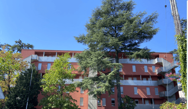 Place de parking intérieure au Petit-Lancy 3