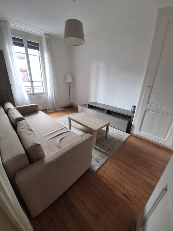 Bel appartement à proximité de Plainpalais 2