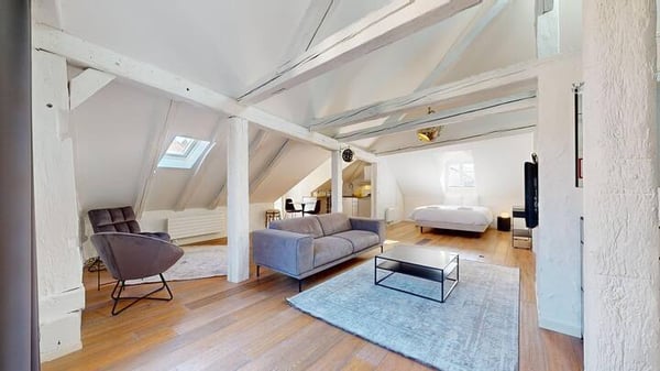 Magnifique loft à louer 1