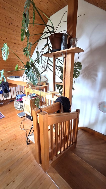 Natur soweit das Auge reicht – Freistehendes Einfamilienhaus mit Einliegerwohnung und vielen Extras 20