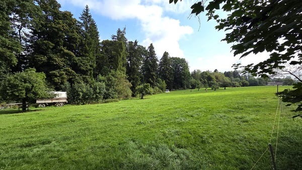 Natur soweit das Auge reicht – Freistehendes Einfamilienhaus mit Einliegerwohnung und vielen Extras 26