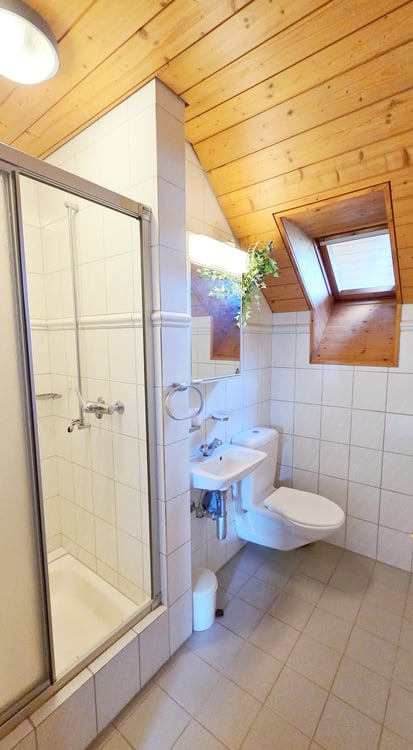 Wohnen wie im Einfamilienhaus - grosse 1 ½-Zimmer-Dachwohnung mit Cheminée und Gartenanteil 13