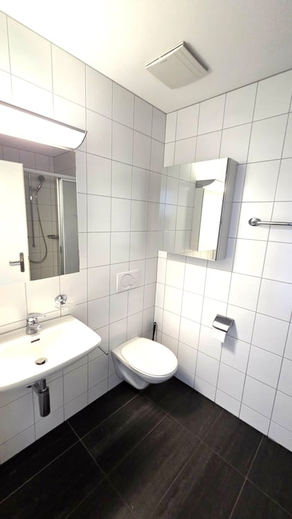 4½-Zimmer-Gartenwohnung an ruhiger Lage unweit des Bahnhofs mit Garage und PP 12