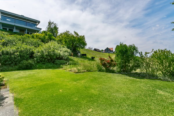 Seeblick-Oase ? zeitlose Architektur und grünes Familienparadies 7