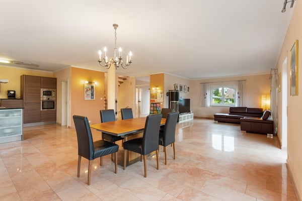 Exklusive Liegenschaft - Wohnen und Arbeiten unter einem Dach 3