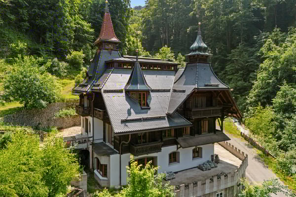 Historische Villa neu erschaffen - Exklusivität trifft auf Freiraum 5
