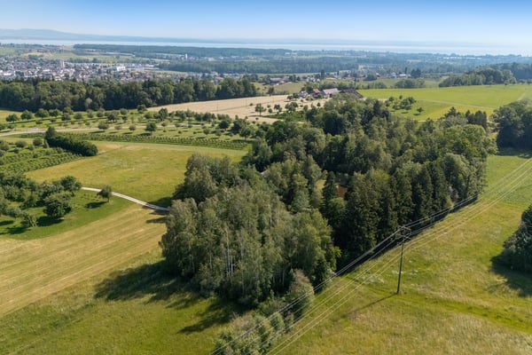 Privates Naturrefugium am Hudelmoos - Ein verborgenes Paradies zwische 6