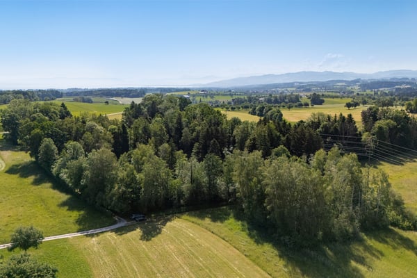 Privates Naturrefugium am Hudelmoos - Ein verborgenes Paradies zwische 8