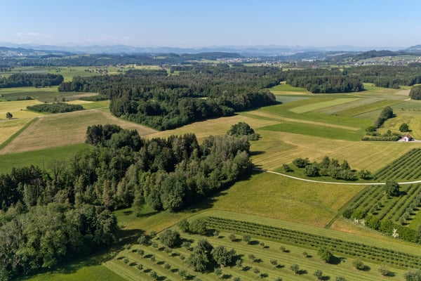 Privates Naturrefugium am Hudelmoos - Ein verborgenes Paradies zwische 5
