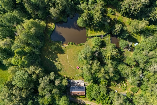 Privates Naturrefugium am Hudelmoos - Ein verborgenes Paradies zwische 1