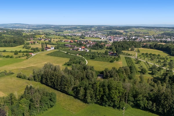 Privates Naturrefugium am Hudelmoos - Ein verborgenes Paradies zwische 7