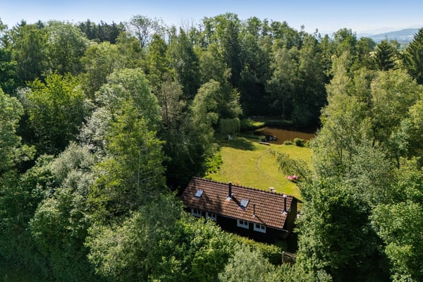 Privates Naturrefugium am Hudelmoos - Ein verborgenes Paradies zwische 3