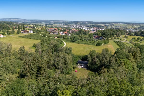 Privates Naturrefugium am Hudelmoos - Ein verborgenes Paradies zwische 9