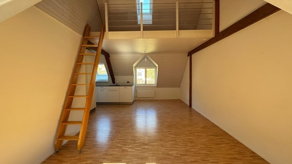 Wohnen mit Galerie in Baden 2
