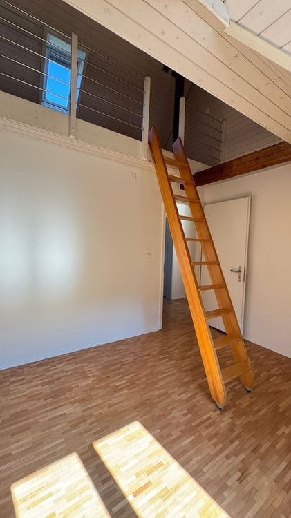 Wohnen mit Galerie in Baden 4