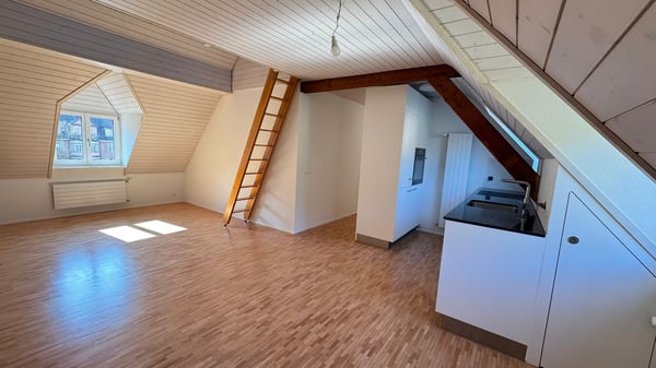 Wohnen mit Galerie in Baden 3