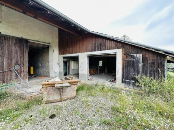 Altes Bauernhaus mit grosser Parzelle 12