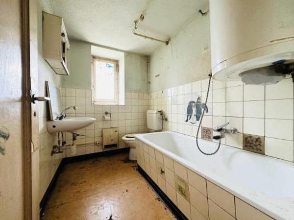 Altes Bauernhaus mit grosser Parzelle 9