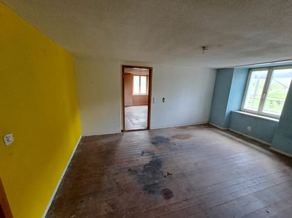 Altes Bauernhaus mit grosser Parzelle 7
