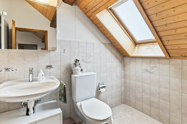 8.5-Zimmer- Einfamilienhaus mit 2.5-Zimmer- Einliegerwohnung, grosser Garage und Lagerflächen 6