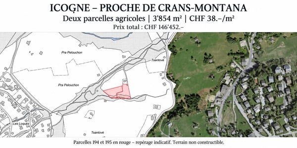 Votre terrain près de Crans-Montana – deux parcelles agricoles à Icogne 3
