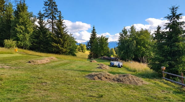 Votre terrain près de Crans-Montana – deux parcelles agricoles à Icogne 2