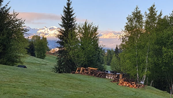 Votre terrain près de Crans-Montana – deux parcelles agricoles à Icogne 1