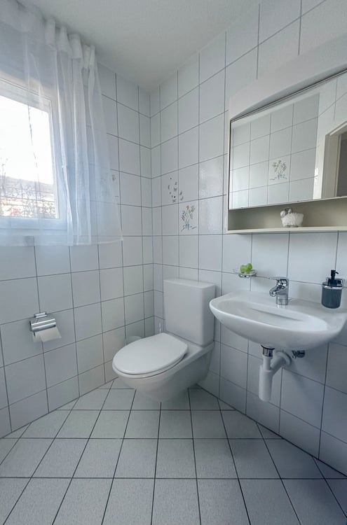 1.5-Zimmer-Doppeleinfamilienhaus in Rothrist 5