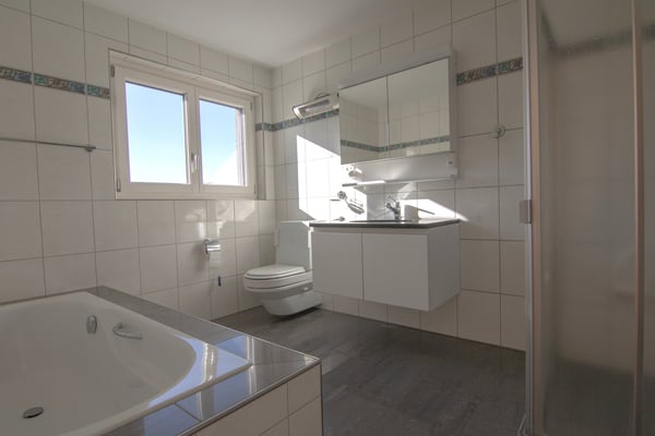 Exklusives 6.5-Zimmer-Einfamilienhaus in Tennwil 10