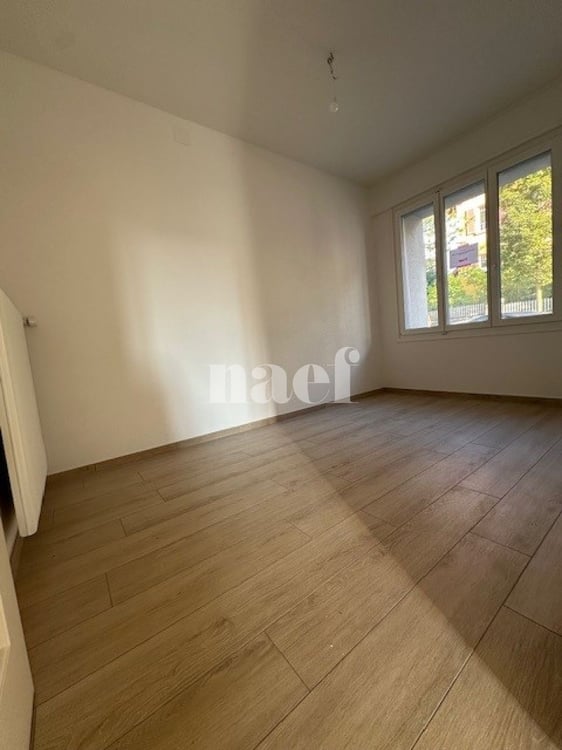 Appartement de 1 pièces entièrement rénové avec grande terrasse 7