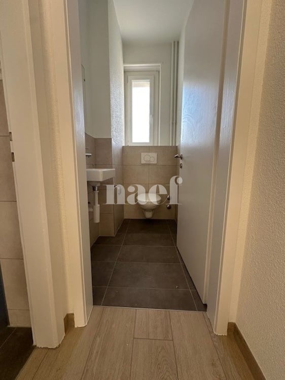 Appartement de 1 pièces entièrement rénové avec grande terrasse 10