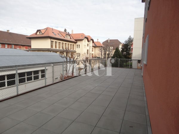 Appartement de 1 pièces entièrement rénové avec grande terrasse 11