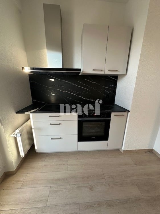 Appartement de 1 pièces entièrement rénové avec grande terrasse 3