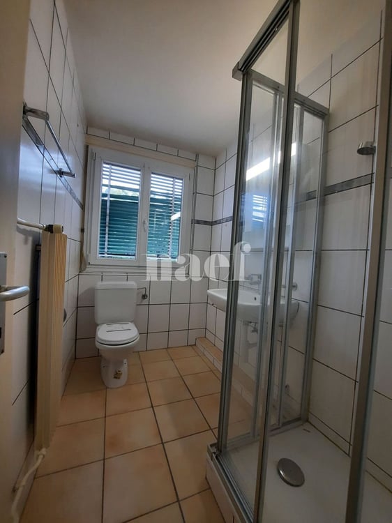 Appartement rénové de 1 pièces au 1ème étage 4