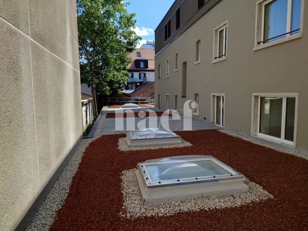 Magnifique appartement de 1.5 pièces avec terrasse 8